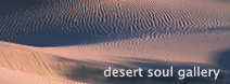 Desert Soul Gallery