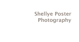 Shellye Poster Photography